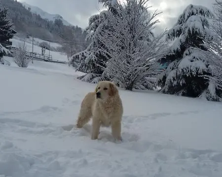 Pista Stelvio Apartment